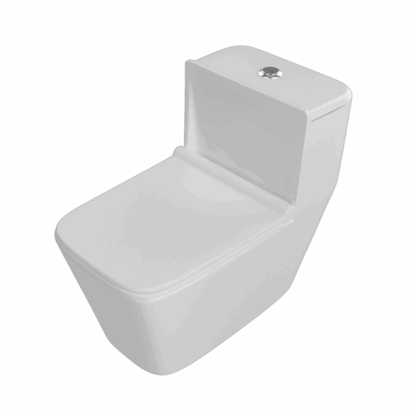 Danube Single Piece Water Closet