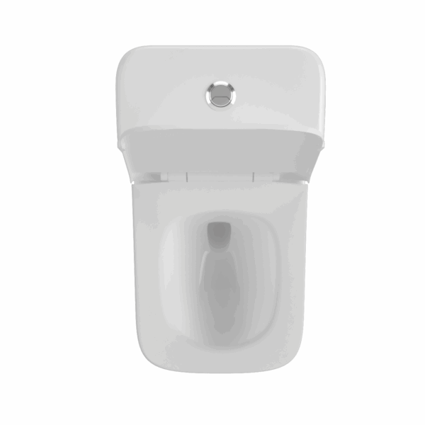 Danube Single Piece Water Closet