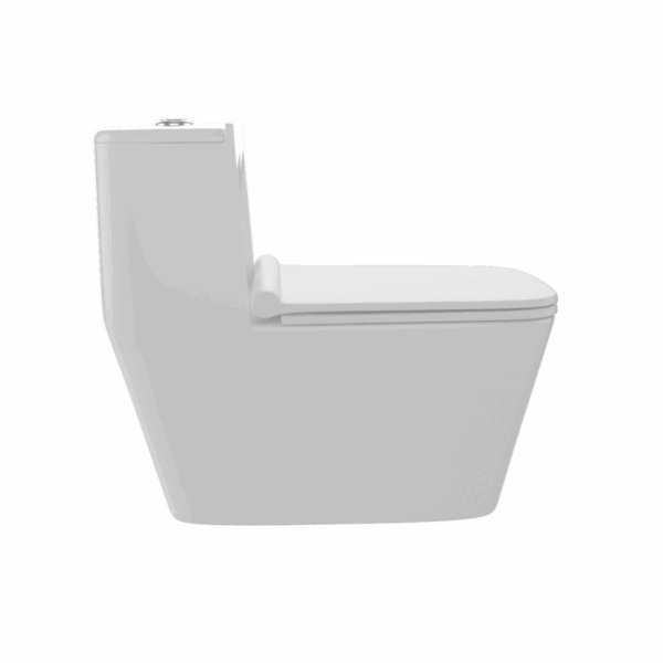 Danube Single Piece Water Closet