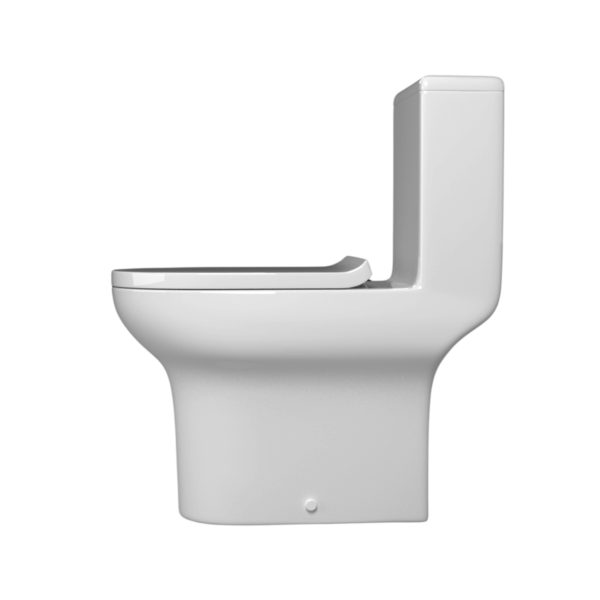 Moon Stone Single Piece Water Closet