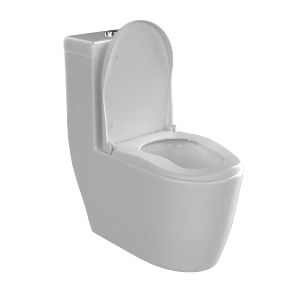 Volga Single Piece Water Closet