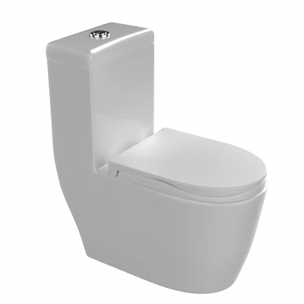 Volga Single Piece Water Closet or Commode