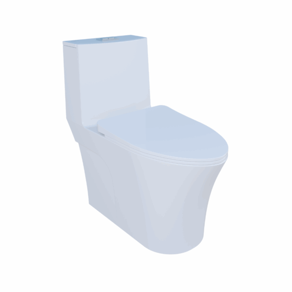 Curve Premium Single Piece Water Closet or Commode