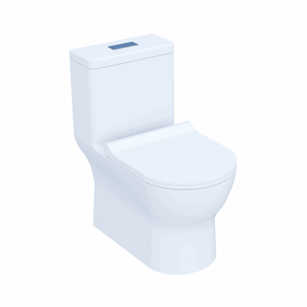 Matteo Premium Single Piece WC