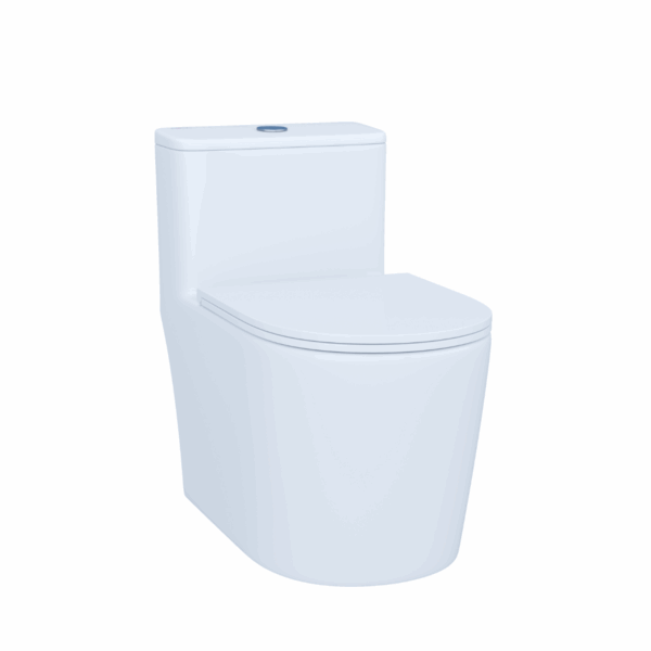 Zenith Premium Single Piece WC